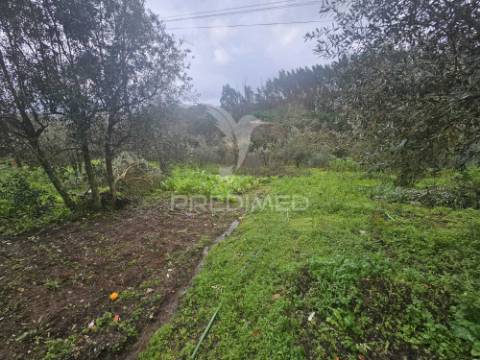 Moradia t3 pronta a habitar