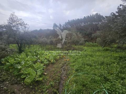 Moradia t3 pronta a habitar