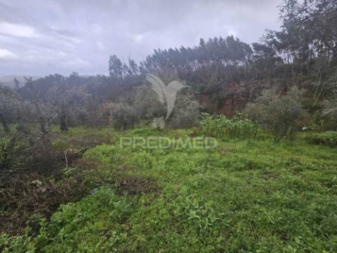 Moradia t3 pronta a habitar