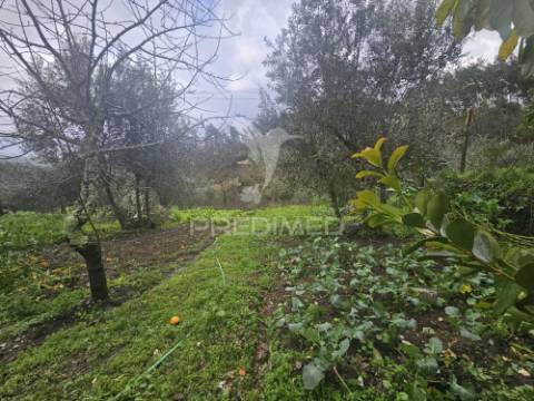 Moradia t3 pronta a habitar