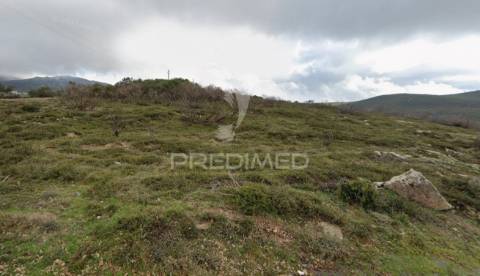 Terreno rústico montalegre