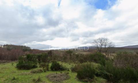 Terreno rústico montalegre