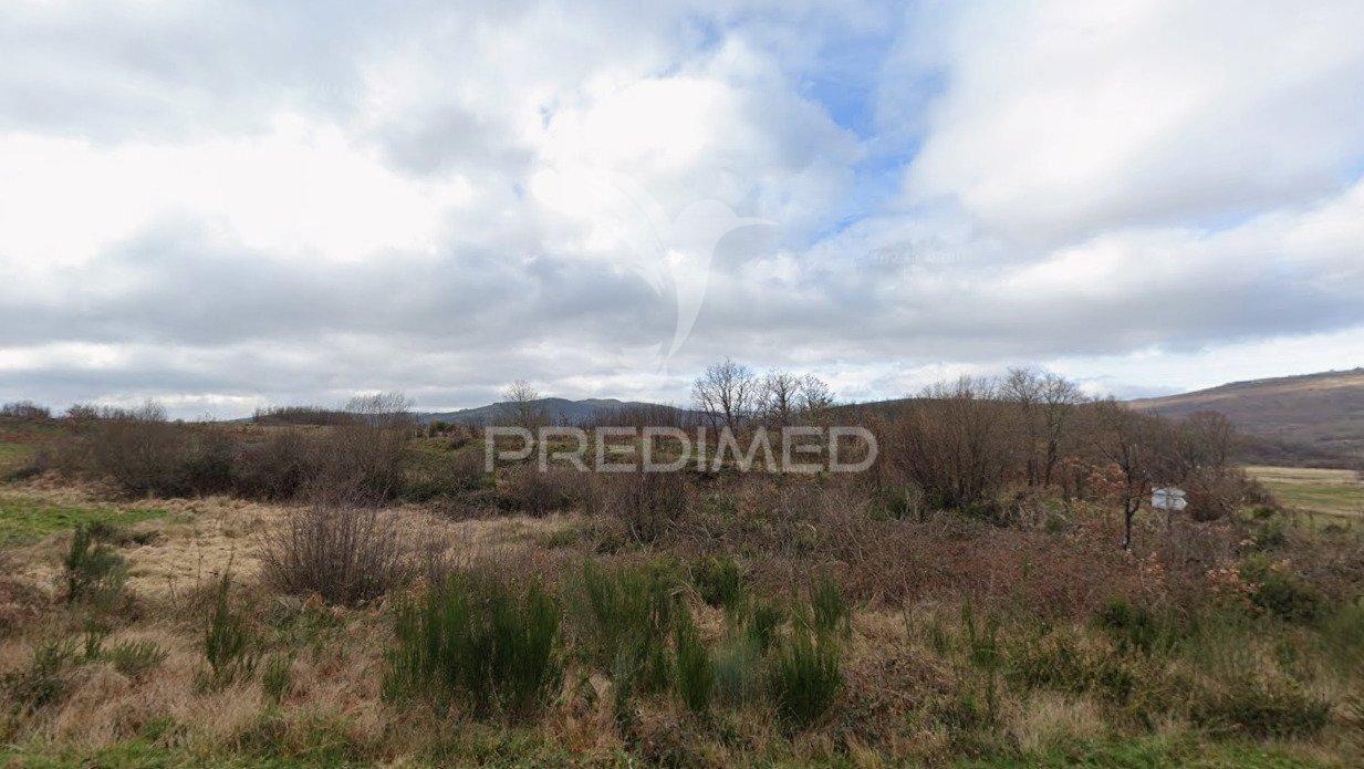 Terreno rústico montalegre