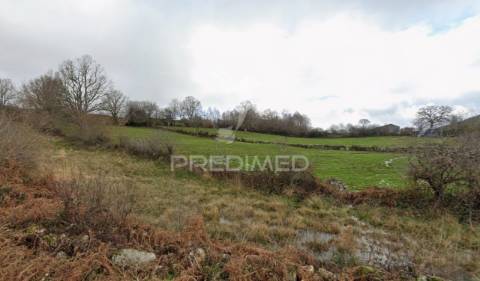 Terreno rústico montalegre