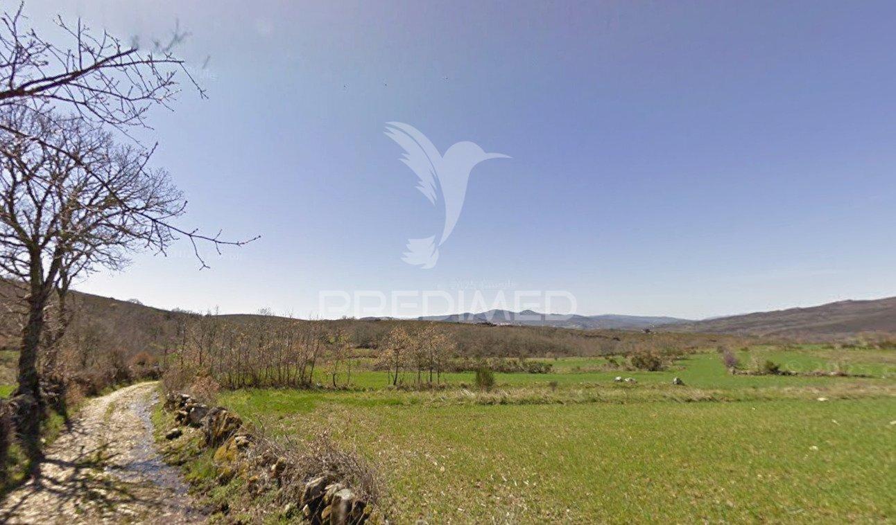 Terreno rústico montalegre