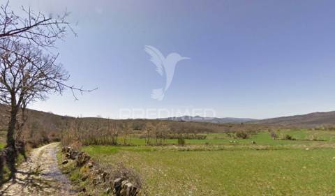 Terreno rústico montalegre