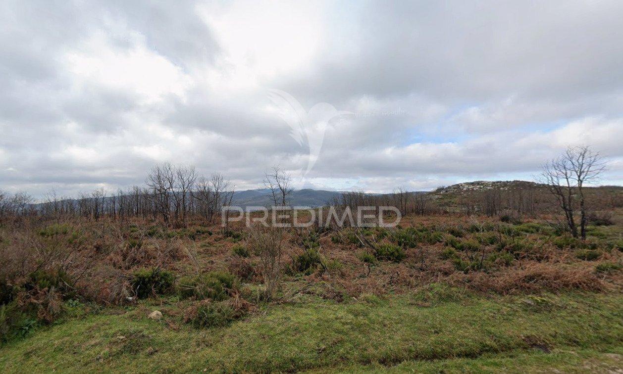 Terreno rústico montalegre