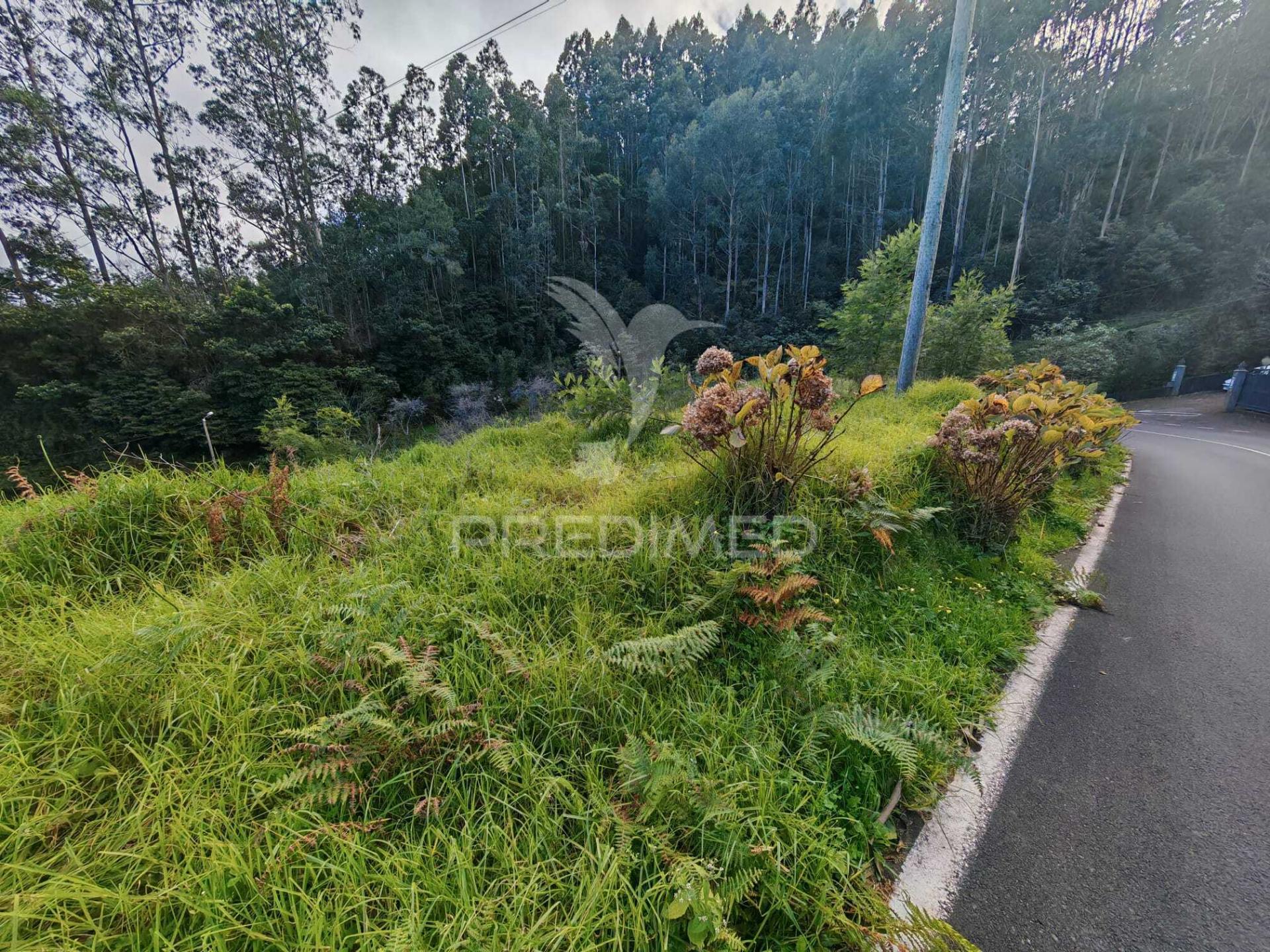 Terreno rústico com capacidade construtiva – 1.740 m² | ribeira de machico