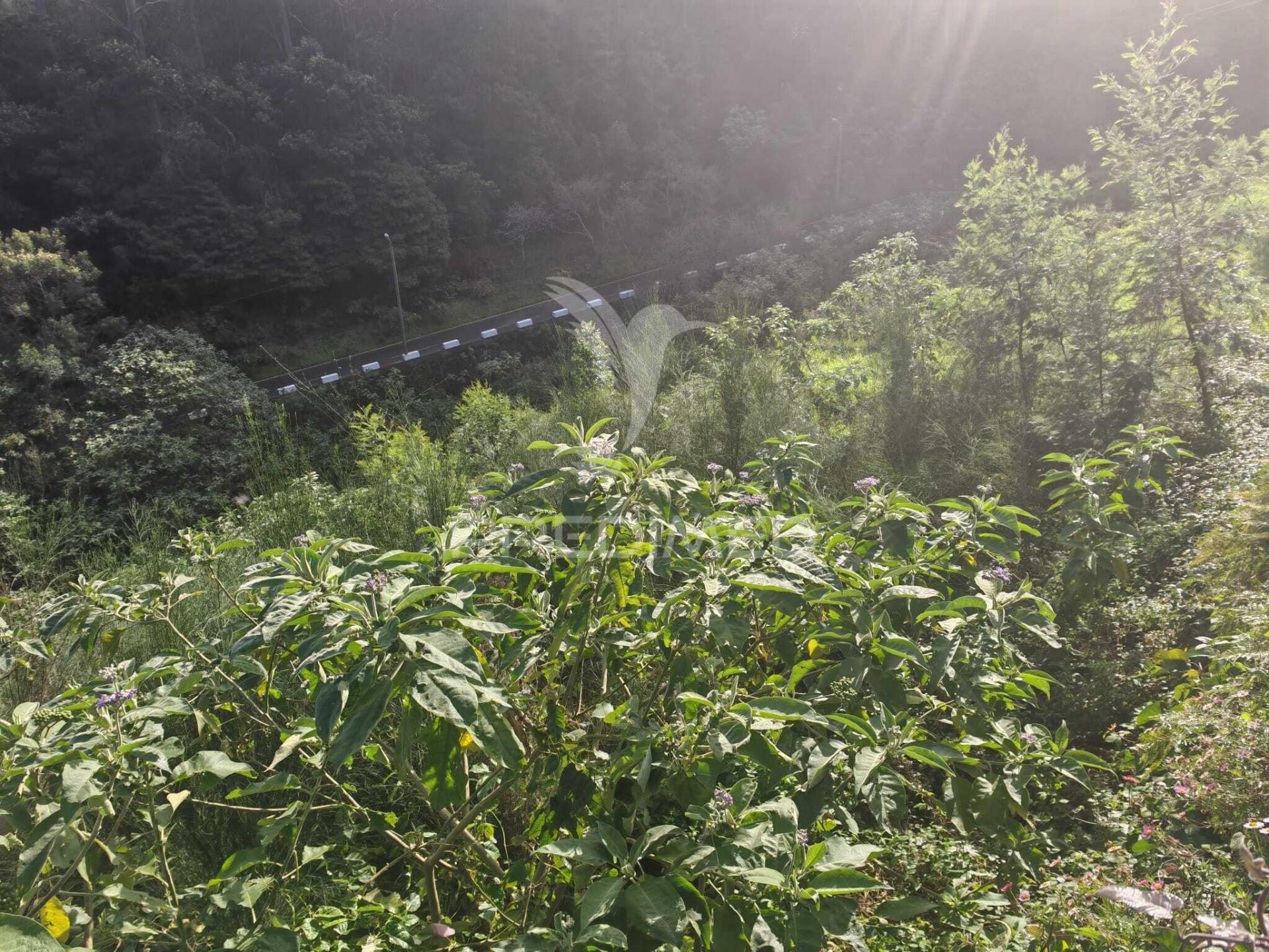 Terreno rústico com capacidade construtiva – 1.740 m² | ribeira de machico