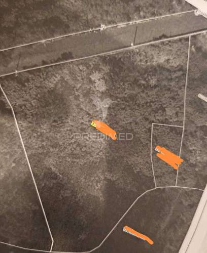 Terreno rústico com capacidade construtiva – 1.740 m² | ribeira de machico