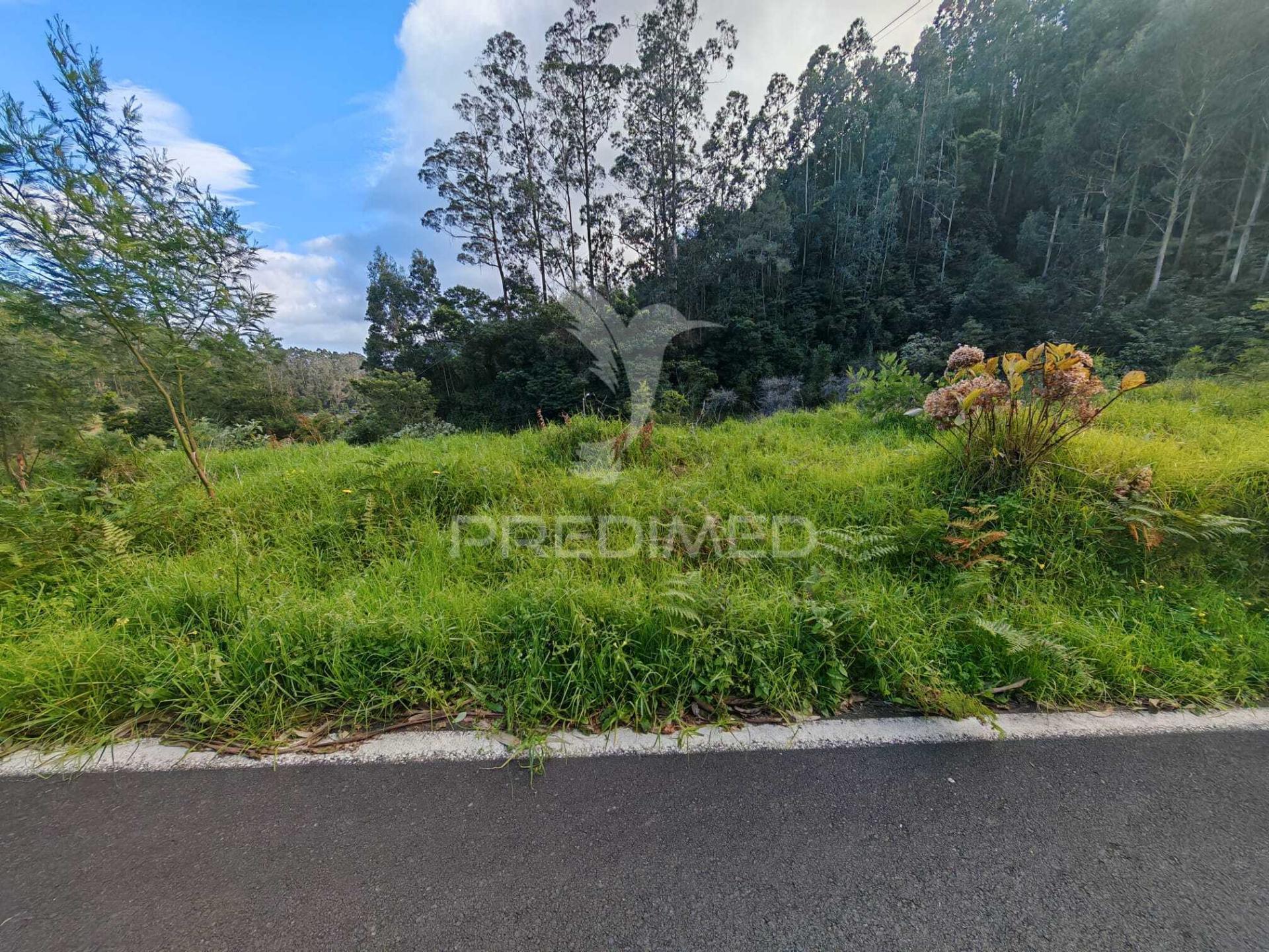 Terreno com 5.970 m² com potencial construtivo | ribeira de machico