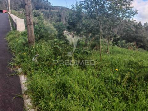 Terreno com 5.970 m² com potencial construtivo | ribeira de machico