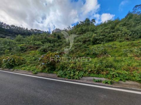 Terreno com 5.970 m² com potencial construtivo | ribeira de machico