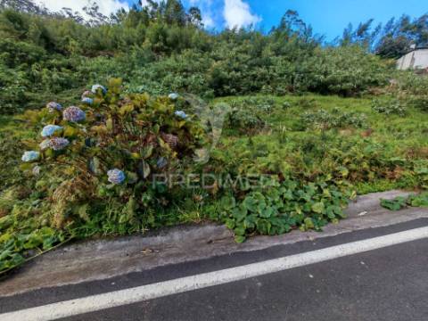 Terreno com 5.970 m² com potencial construtivo | ribeira de machico