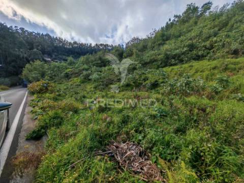 Terreno com 5.970 m² com potencial construtivo | ribeira de machico