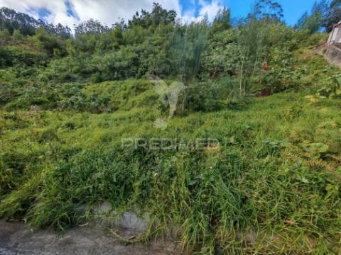 Terreno com 5.970 m² com potencial construtivo | ribeira de machico