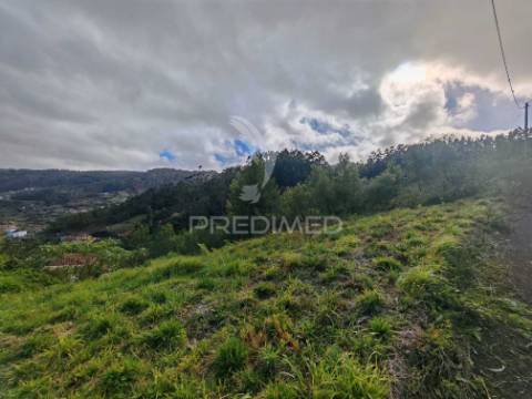 Terreno com 5.970 m² com potencial construtivo | ribeira de machico