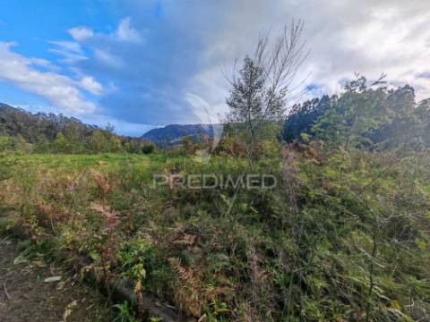 Terreno com 5.970 m² com potencial construtivo | ribeira de machico