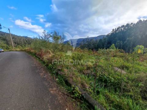 Terreno com 5.970 m² com potencial construtivo | ribeira de machico