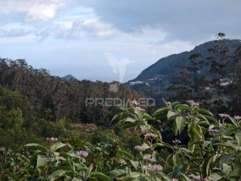 Terreno com 5.970 m² com potencial construtivo | ribeira de machico