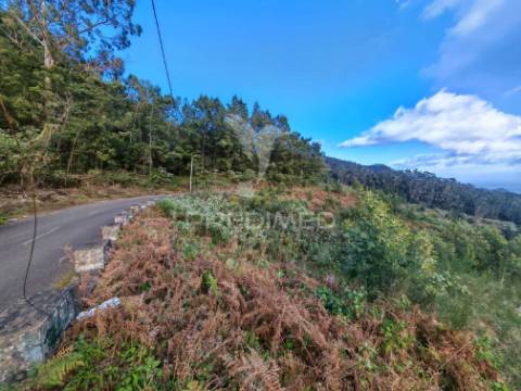 Terreno com 5.970 m² com potencial construtivo | ribeira de machico