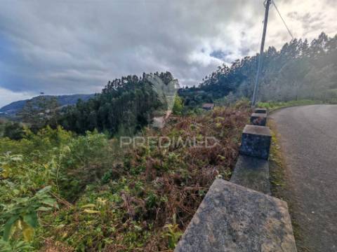 Terreno com 5.970 m² com potencial construtivo | ribeira de machico