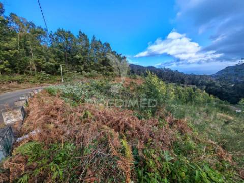 Terreno com 5.970 m² com potencial construtivo | ribeira de machico