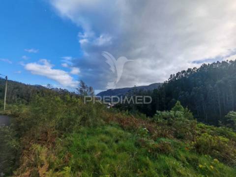 Terreno com 5.970 m² com potencial construtivo | ribeira de machico