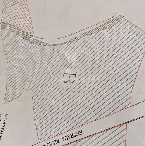 Terreno com 5.970 m² com potencial construtivo | ribeira de machico