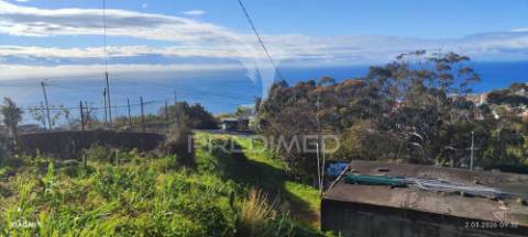 Terreno urbano com 920 m2 para construção no caniço