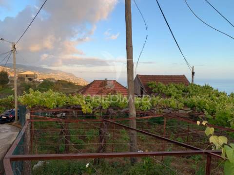 Terreno rústico com capacidade de construção na ponta do sol - ilha da madeira.