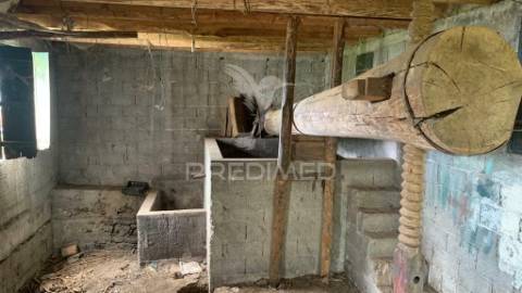 Terreno rústico com capacidade de construção na ponta do sol - ilha da madeira.