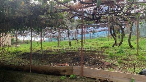 Terreno rústico com capacidade de construção na ponta do sol - ilha da madeira.