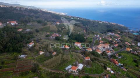 Prédio misto nos moinhos caniço com 7320 m2
