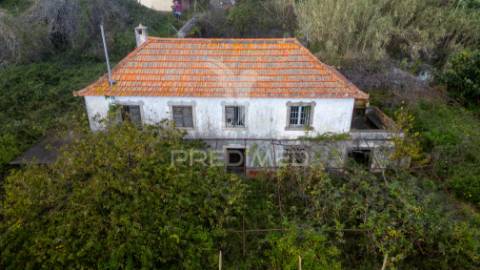 Prédio misto nos moinhos caniço com 7320 m2