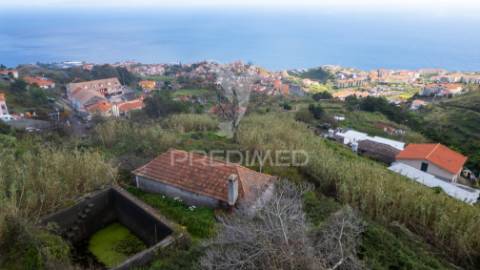 Prédio misto nos moinhos caniço com 7320 m2