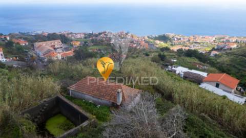 Prédio misto nos moinhos caniço com 7320 m2