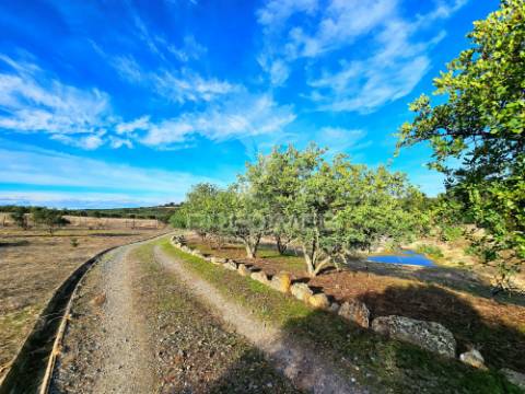 Propriedade de charme no alentejo, castro verde