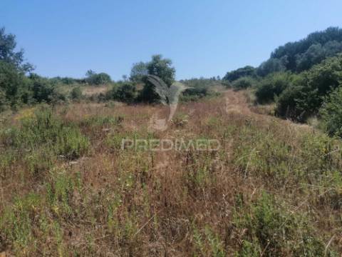 Terreno rústico em sobral monte agraço - santo quintino