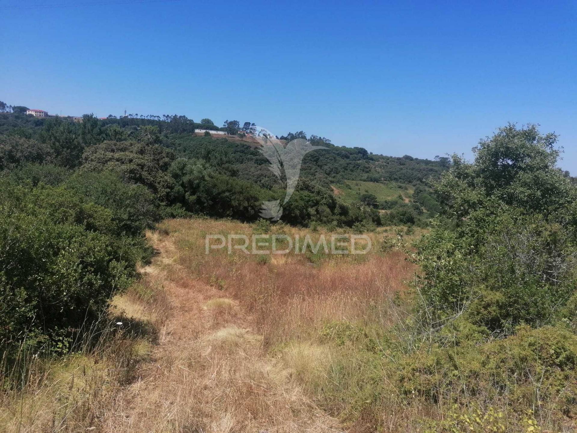 Terreno rústico em sobral monte agraço - santo quintino