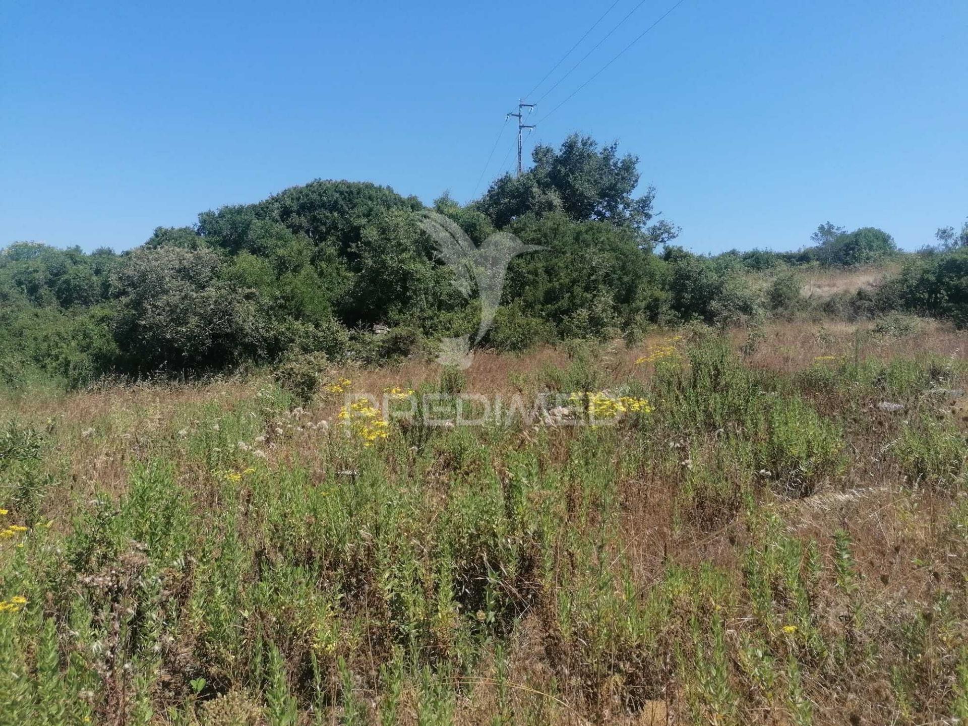 Terreno rústico em sobral monte agraço - santo quintino