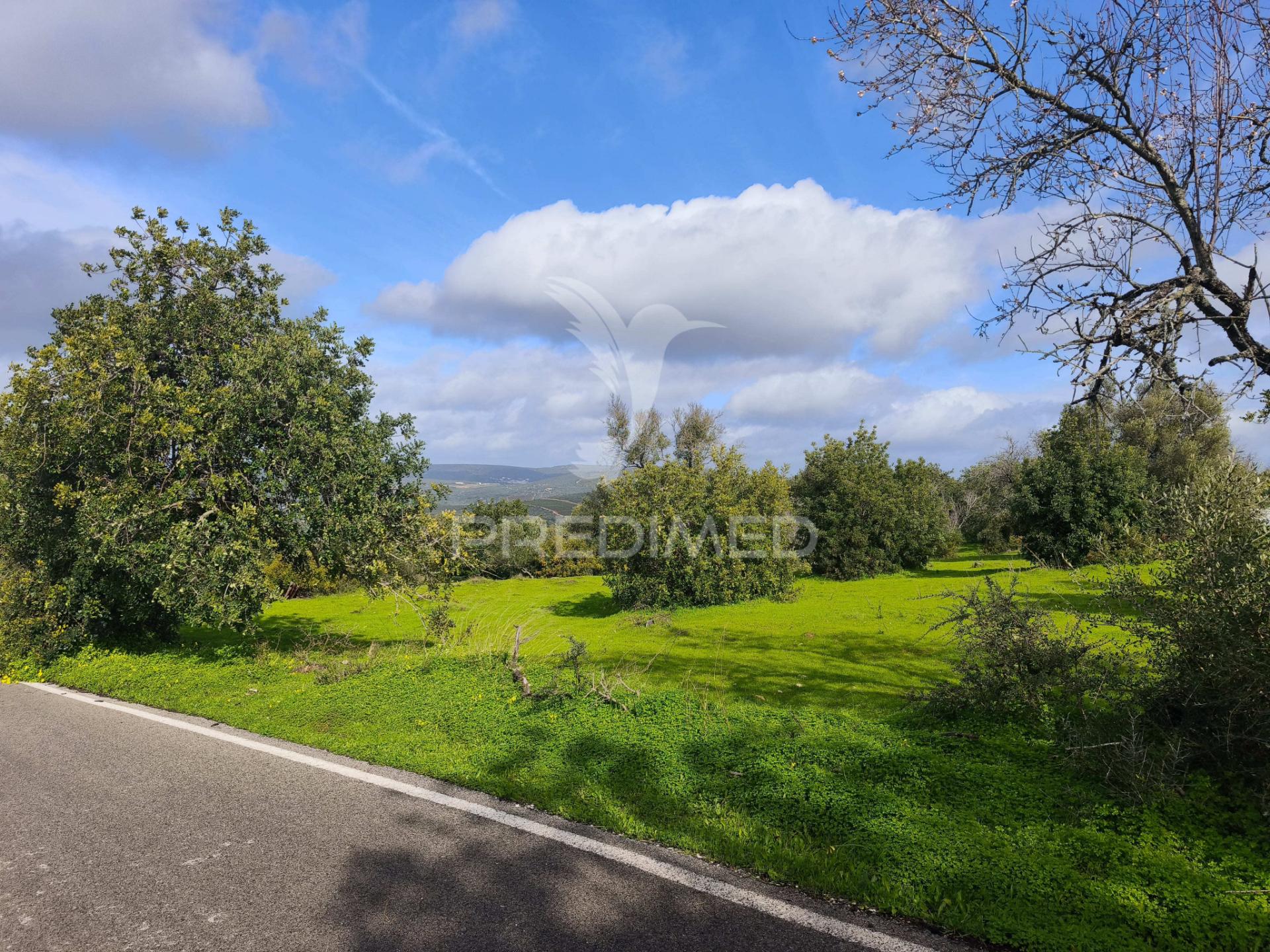 Terreno com 6.440 m² e potencial para 12 moradias