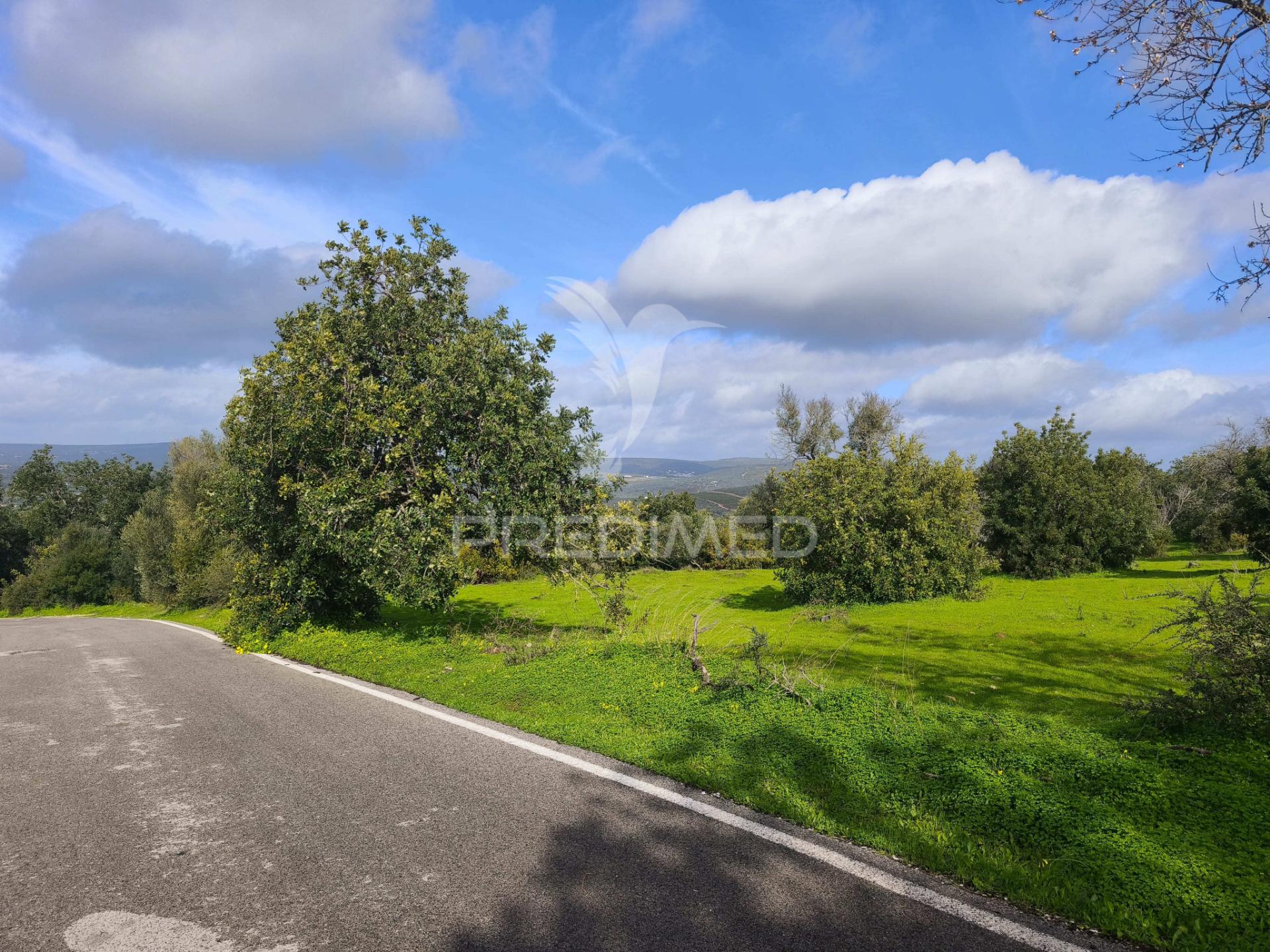 Terreno com 6.440 m² e potencial para 12 moradias