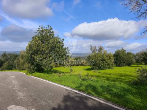 Terreno com 6.440 m² e potencial para 12 moradias