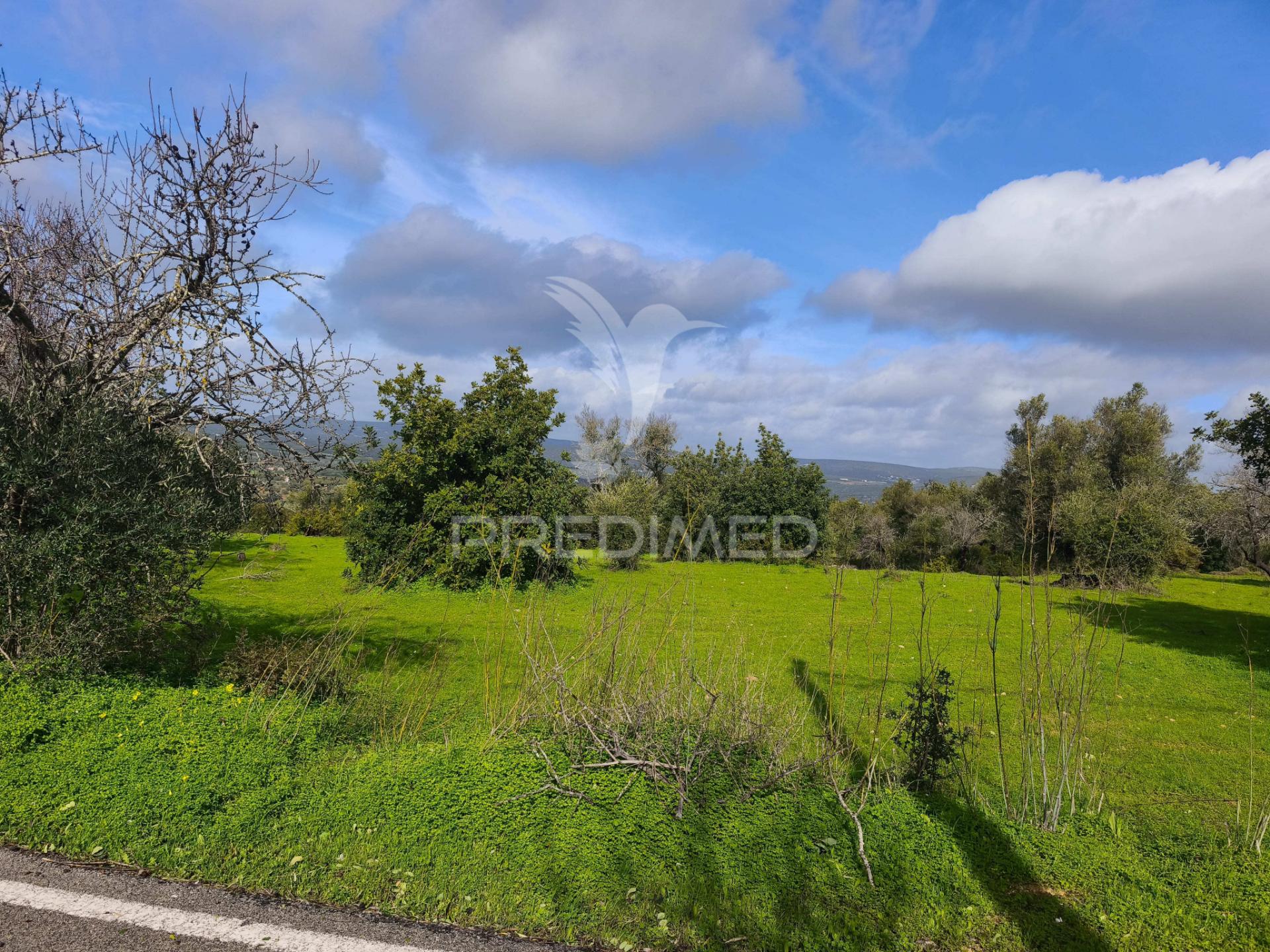 Terreno com 6.440 m² e potencial para 12 moradias