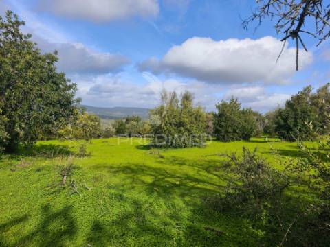 Terreno com 6.440 m² e potencial para 12 moradias