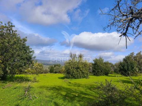 Terreno com 6.440 m² e potencial para 12 moradias