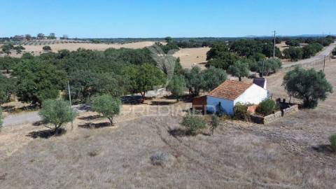 Monte da estrada – o seu refúgio no coração do alentejo