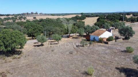 Monte da estrada – o seu refúgio no coração do alentejo