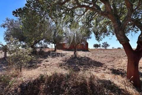 Monte da estrada – o seu refúgio no coração do alentejo